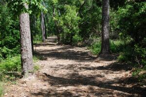 Pundt Park