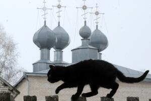 Gato negro, mala suerte