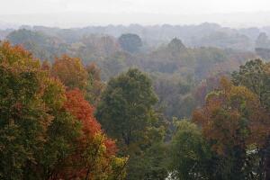 BOSQUE ESTATALES/Jacobsburg.jpg