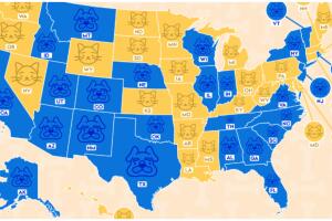 El estudio reveló que el 56.8% de los estadounidenses son amantes de los perros y el 43.2% prefieren a los gatos.