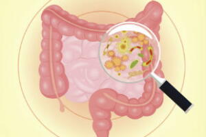 intestino-mau-humor-2.jpg