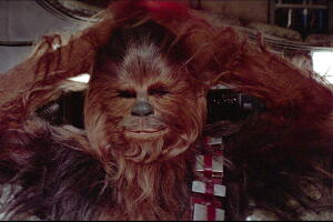 chewbacca-manos-en-la-cabeza.jpeg