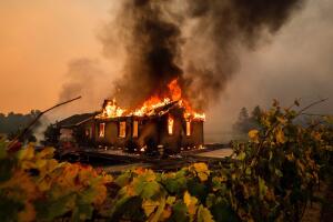 Kincade fire portada.jpg