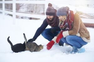 Cats need a little warming up in the winter