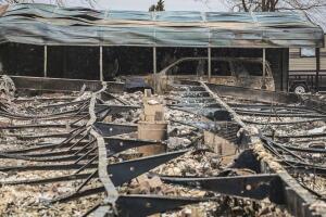 Smokehouse Creek fire