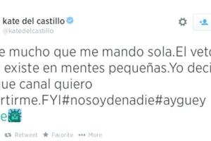 KateDelCastilloTweet.jpg