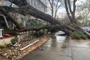 California tormentas