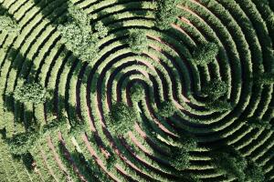 Un parque a prueba de contagios