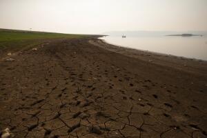 Mexico Drought