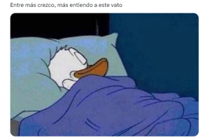 meme-un-dia-eres-joven-al-otro (11).png