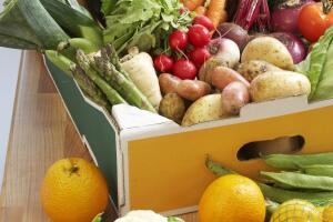 top 5-famosos-vegetarianos 1.jpg