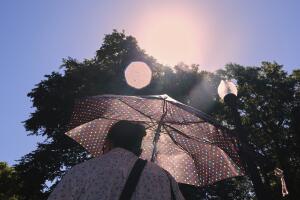 Alerta por calor en Nueva York; dónde encontrar centros de enfriamiento y cómo protegerse.