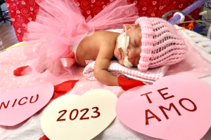 Seton/Valentines 4.png