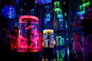 parque-acuatico-epson-shinigawa