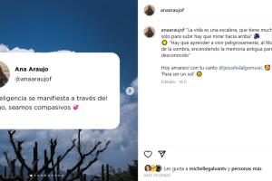 Este es el mensaje que publicó Ana Araujo en el que pidió que "seamos compasivos" en medio de la polémica por su presunta relación amorosa con Marco Lavin.