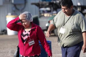 Immigration Food Plant Raids