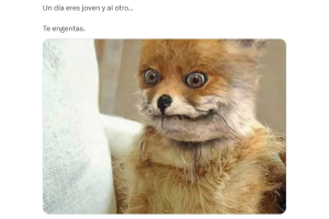 meme-un-dia-eres-joven-al-otro.png
