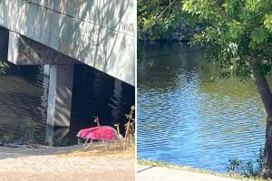 hombre muere ahogado persecución policía elmendorf lake san antonio texas