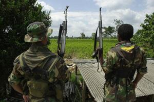 Coca Plant Eradication in Effect