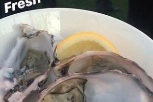 boda de tracey kurland y trevor engelson