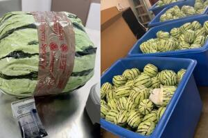 Sandías metanfetamina