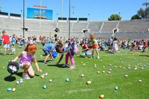 egg bowl rose bowl.jpg