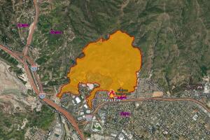 WhatsApp Image 2025-01-14 at 1.02.18 PM.jpeg