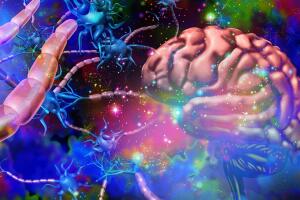 cerebro sistema nervoso 0422 1400x800