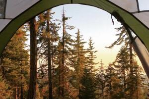 Sequoia and Kings Canyon