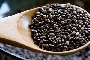 chia-texto-3.jpg