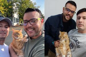 Emotivo reencuentro en Chicago: gata vuelve a abrazar a sus dueños. Aquí la historía de cómo lo lograron 