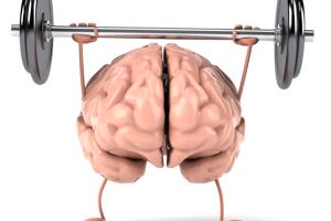 thinkstockphotos-120705488.jpg