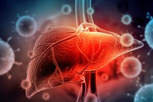 Ilustração do vírus da hepatite atacando o fígado