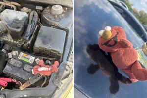 Detienen a hombre en Eagle Pass con droga escondida en un muñeco Elmo