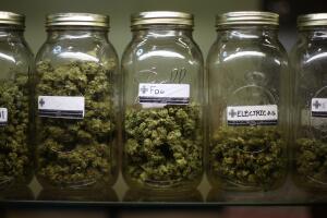 Obama Admin. Unveils New Policy Easing Medical Marijuana Prosecutions