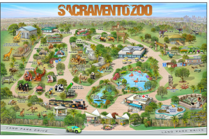 SacZoo.jpg