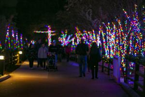 ZooLights8.jpg