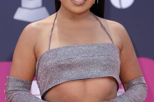 23rd Annual Latin GRAMMY Awards - Arrivals