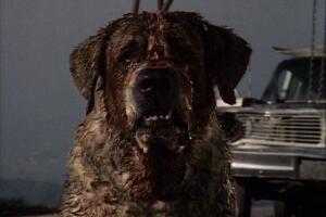filme-cujo.jpg