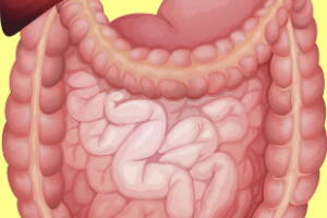 lavagem-intestinal-2.jpg
