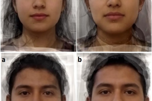 Cada imagen representa el rostro promedio de hombres y mujeres con (izquierda) y sin (derecha) infección por toxoplasma gondii. Dado que cada imagen se creó fusionando fotos de 10 personas para cada categoría, las caras que se muestran en las imágenes no son personas reales.
