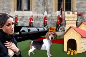 Meghan Markle y su perro Guy