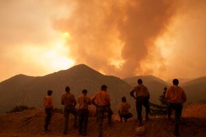 AP24274225499160 (1).jpg