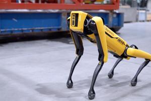 perro-robot-akerbp-noruega.jpg