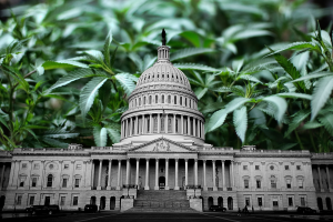 capitol congress.png