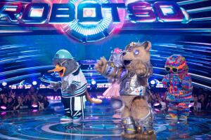 Robotso fue salvado por los investigadores
