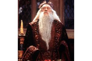 richard-harris-albus-dumbledore-harry-potter (2).jpg