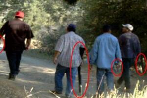 narcos Fresno marihuana California