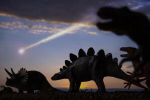 Dinosaurs and Asteroid