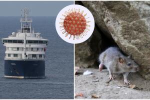 hantavirus-virginia.jpg